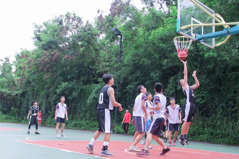  国际篮球友谊赛促进文化交流